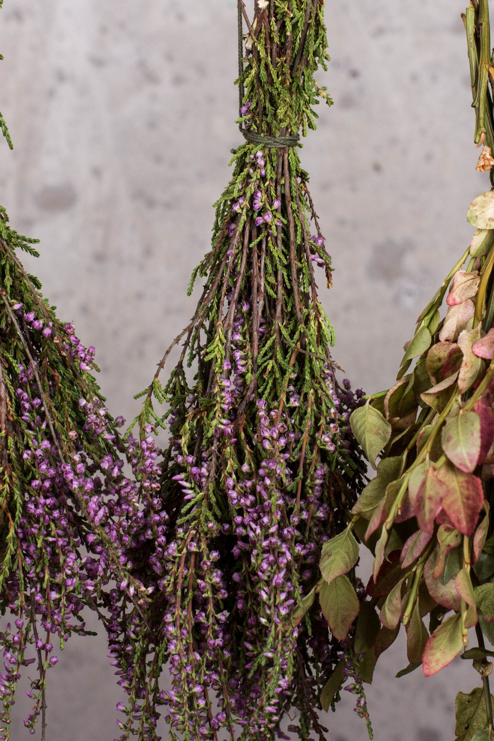 Image illustrates a book of how to use herbs Roots and Rituals by The Off Grid Barefoot Girl.