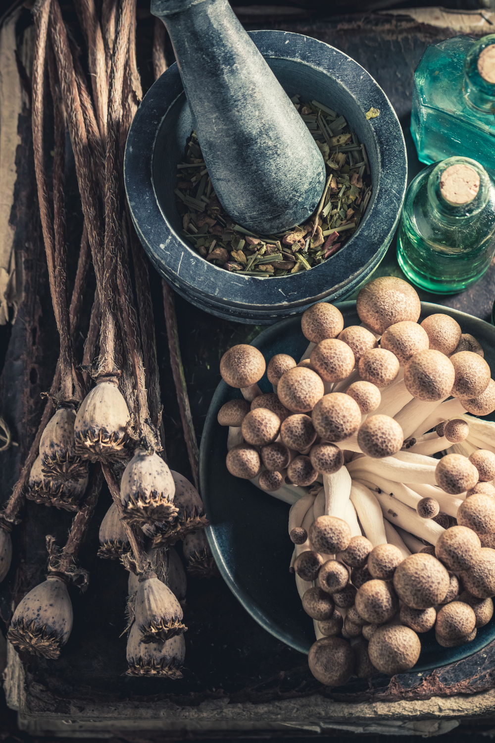 Image illustrates a book of how to use herbs Roots and Rituals by The Off Grid Barefoot Girl.