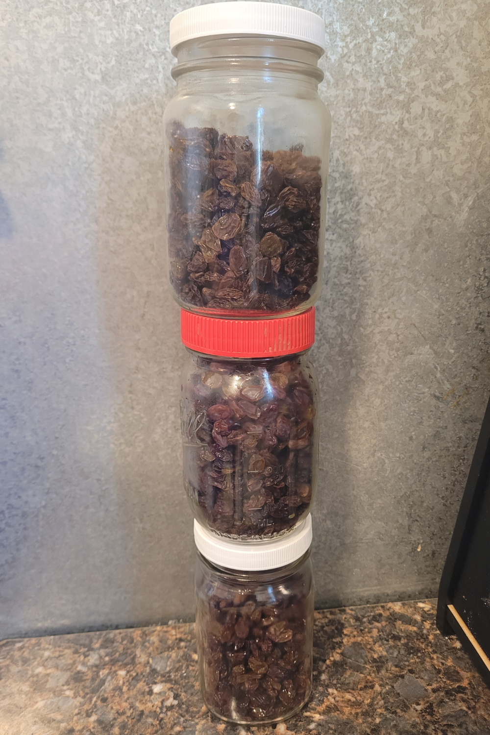 Image illustrates raisins.