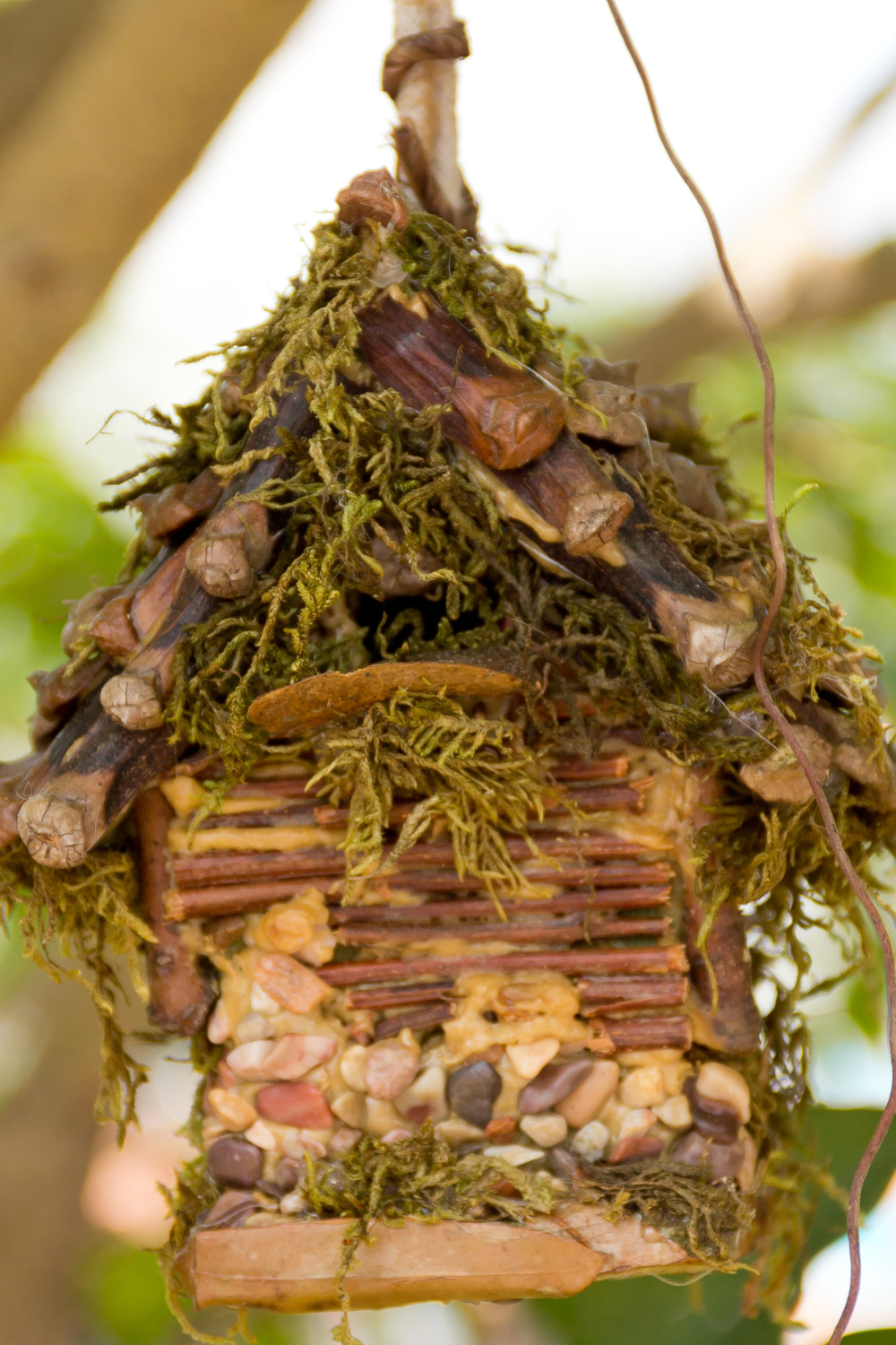 Image illustrates nature crafts for kids and fairy houses or bug hotels.