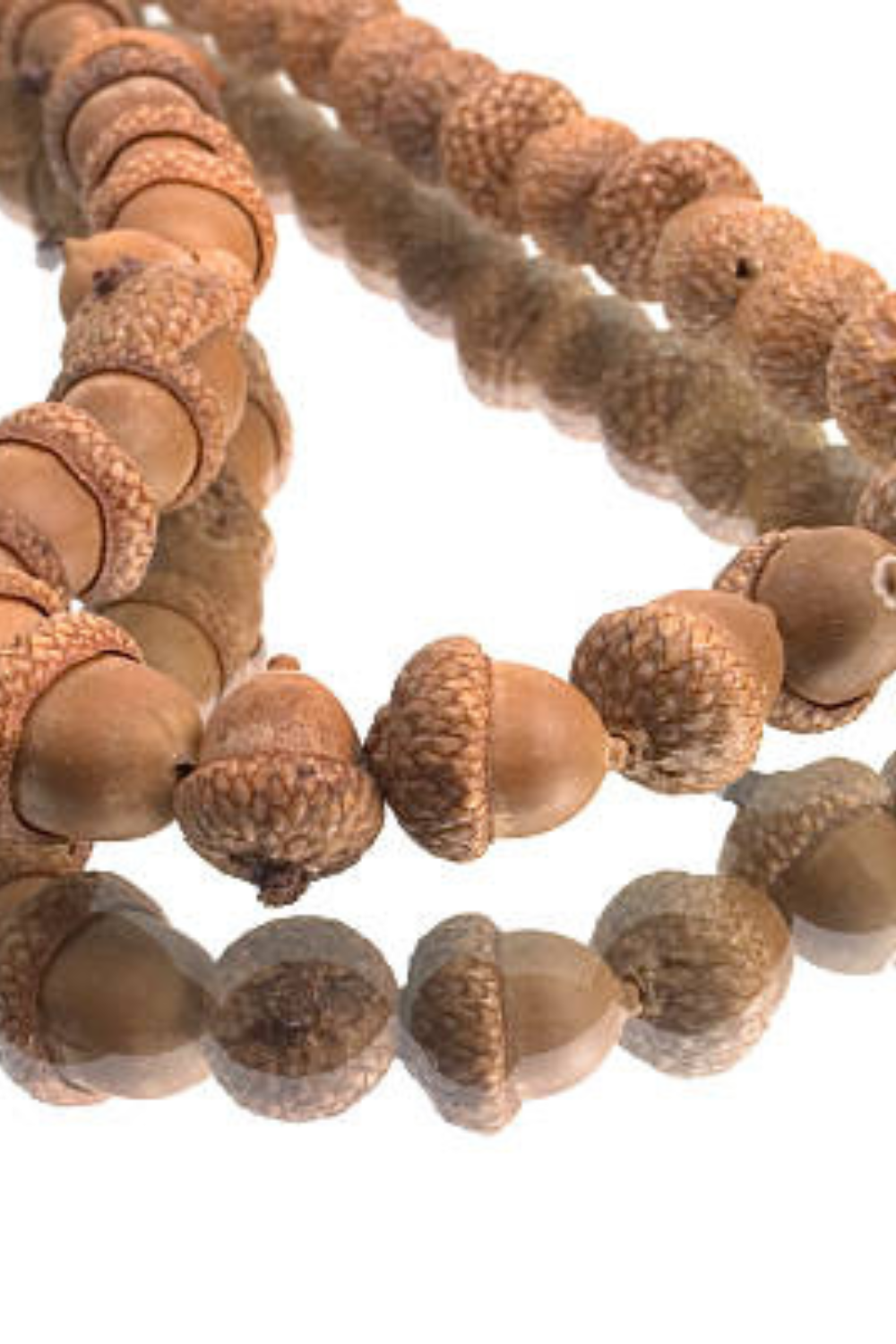 Image illustrates nature crafts for kids and acorn necklace.