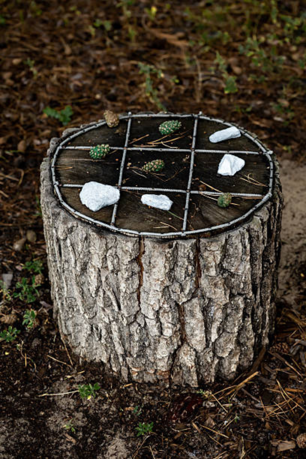 Image illustrates nature crafts for kids and nature tic tac toe.