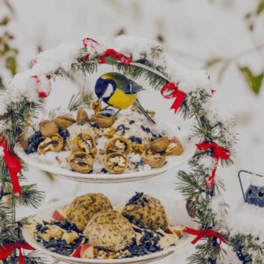 Image illustrates winter bird feeders.