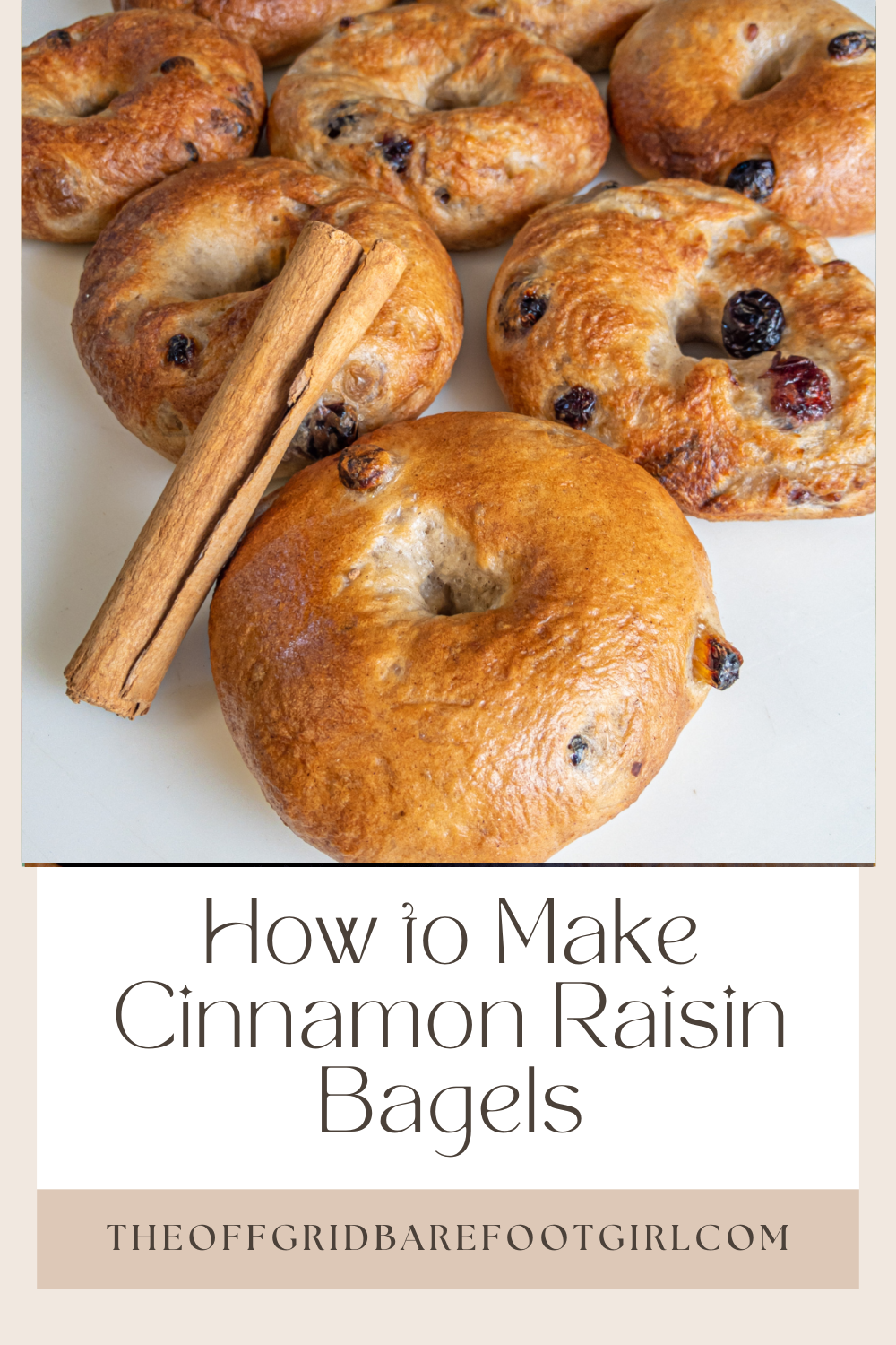 Image illustrates a Pinterest pin of cinnamon raisin bagels.