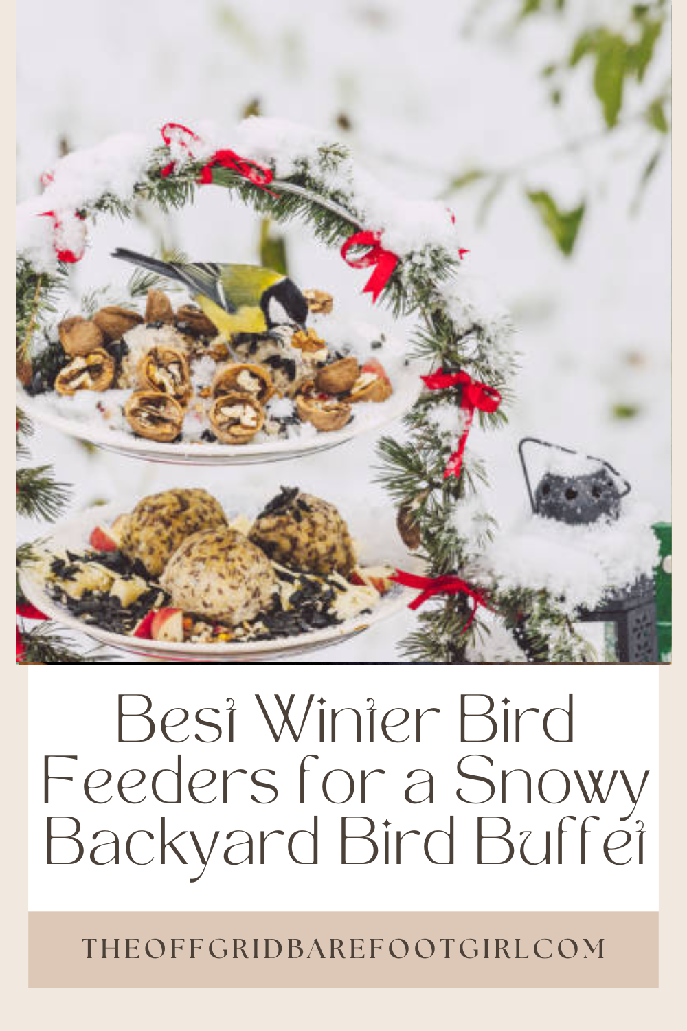 Image illustrates a Pinterest pin of winter bird feeders.