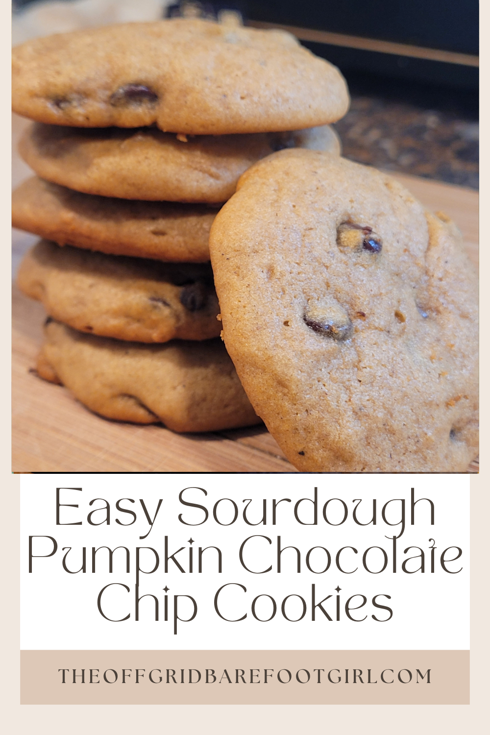 Image illustrates a Pinterest pin of easy sourdough pumpkin chocolate chip cookies.