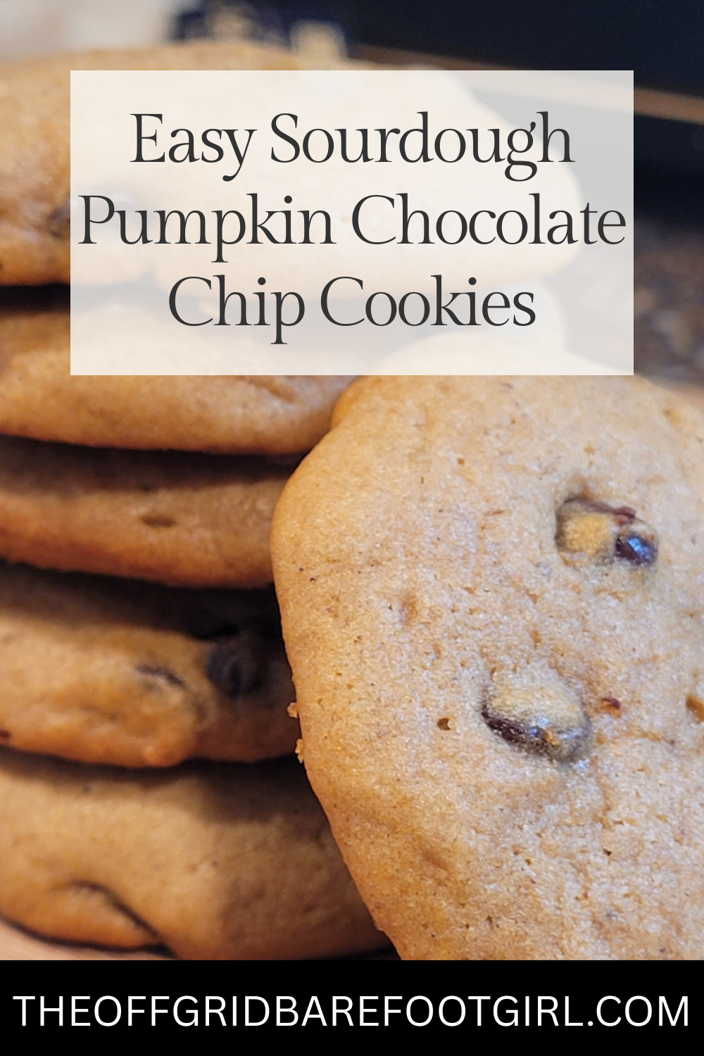 Image illustrates a Pinterest pin of easy sourdough pumpkin chocolate chip cookies.