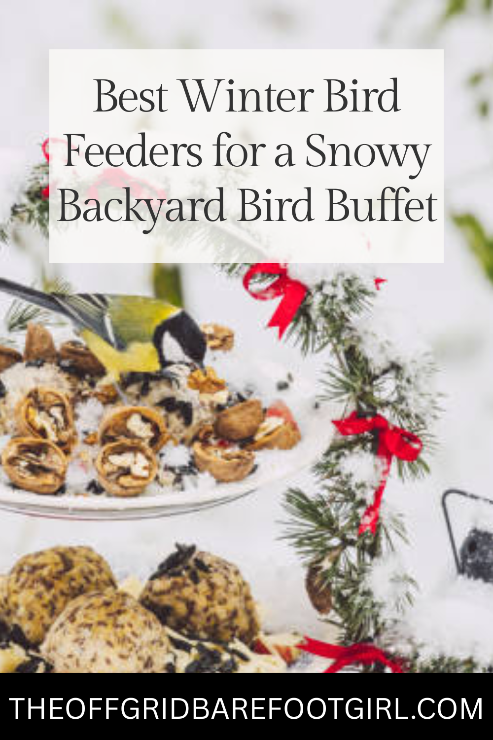 Image illustrates a Pinterest pin of winter bird feeders.
