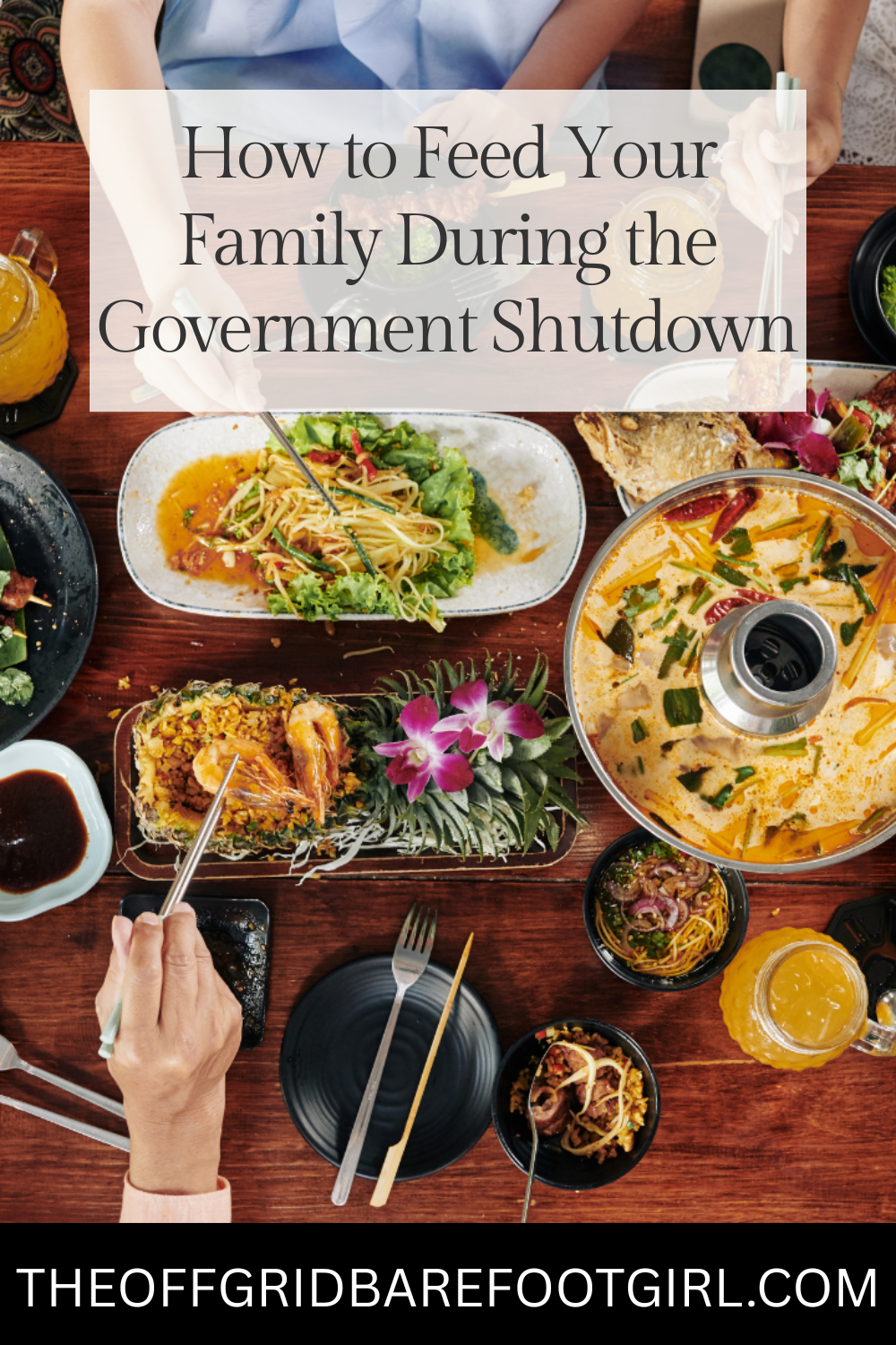 Image illustrates a Pinterest pin of a family dinner for how to feed your family during the government shutdown.