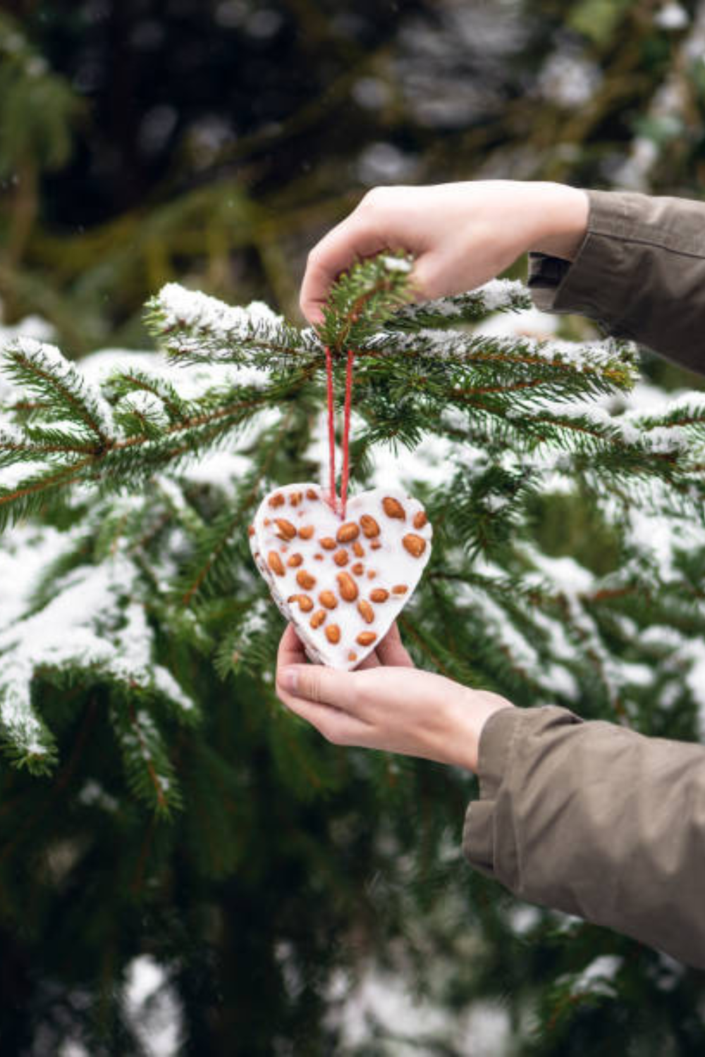 Image illustrates bird feeder ornaments.