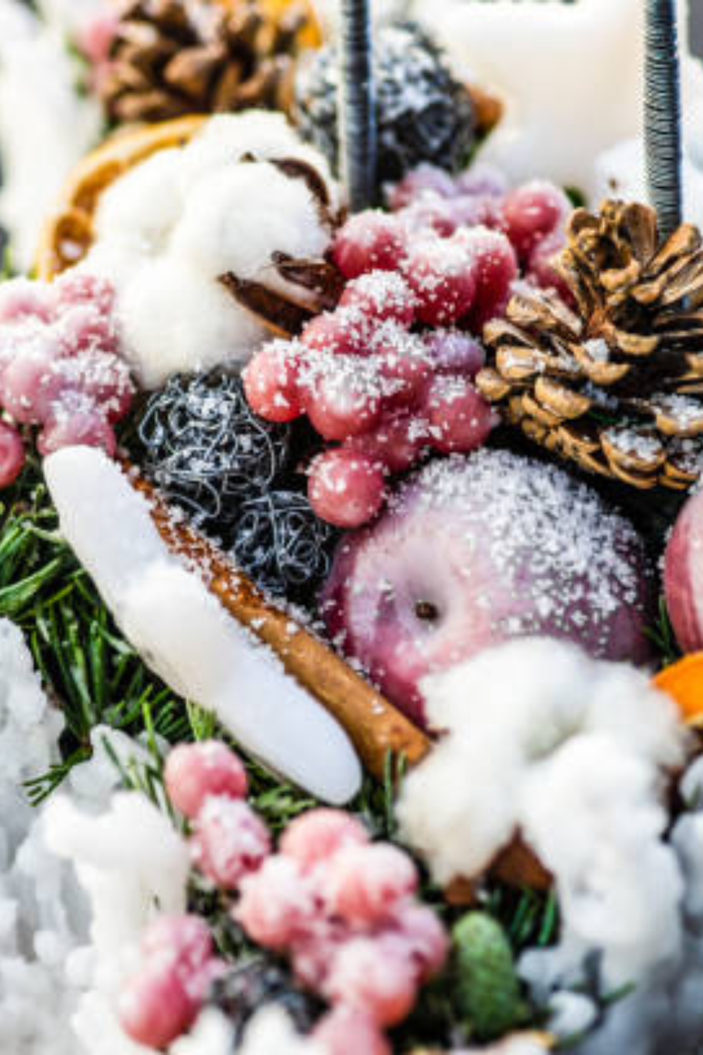 Image illustrates winter bird feeders.