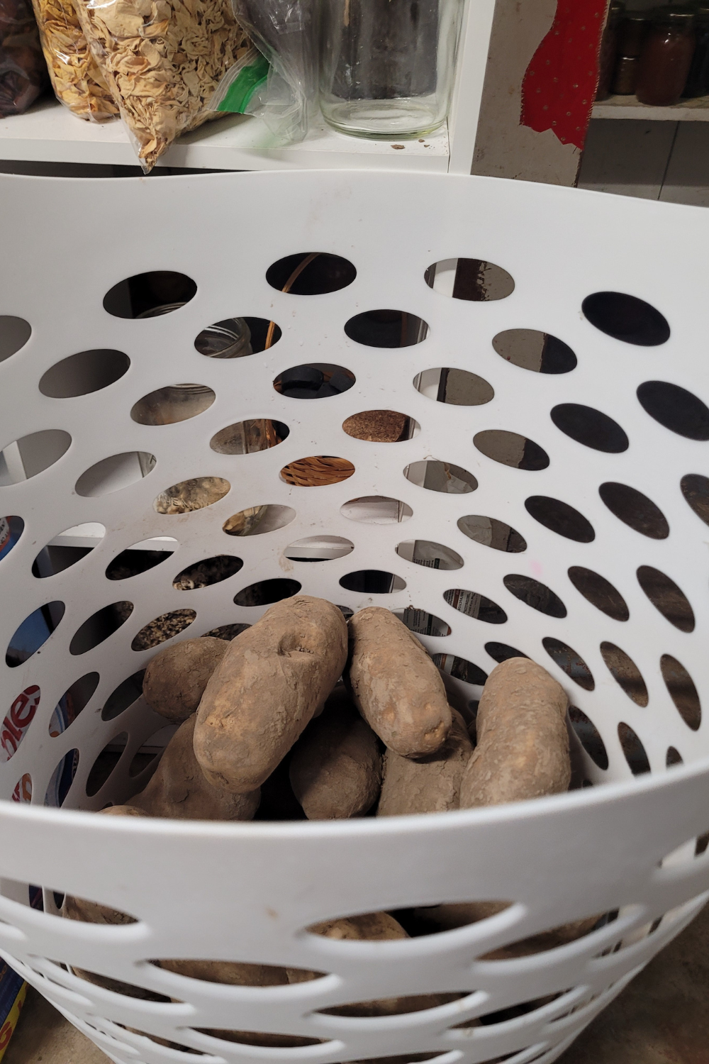 Image illustrates potatoes for how to feed your family.