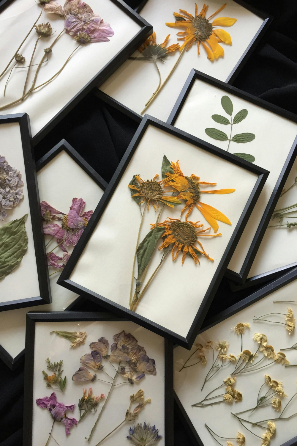 Image illustrates pressed flowers in frames for handmade Christmas gifts.