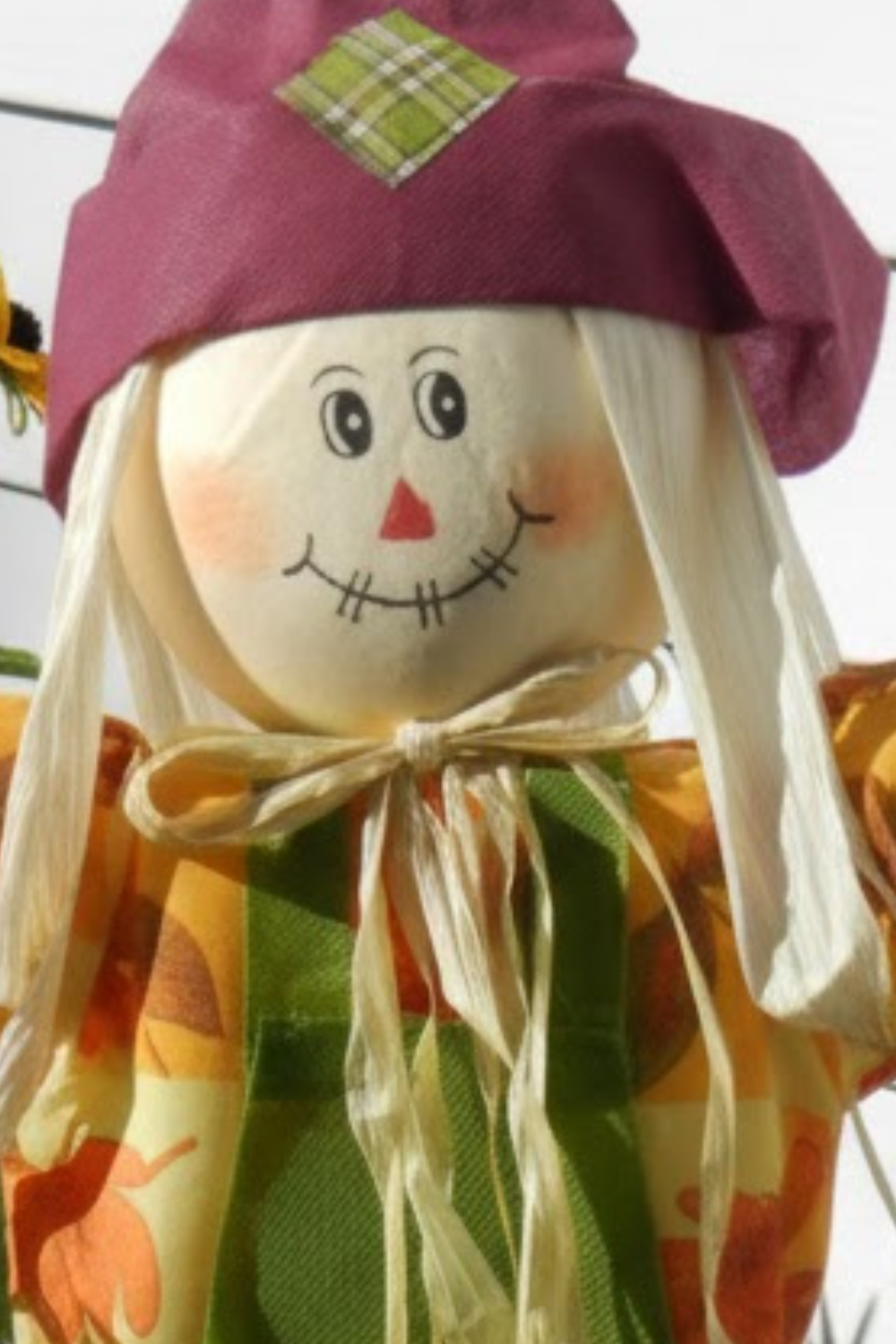 Image illustrates a scarecrow for how to make a scarecrow.