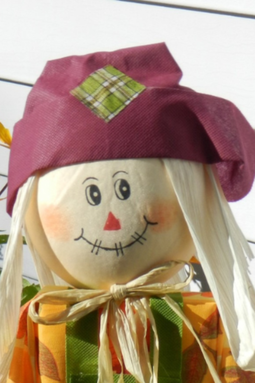 Image illustrates a scarecrow for how to make a scarecrow.