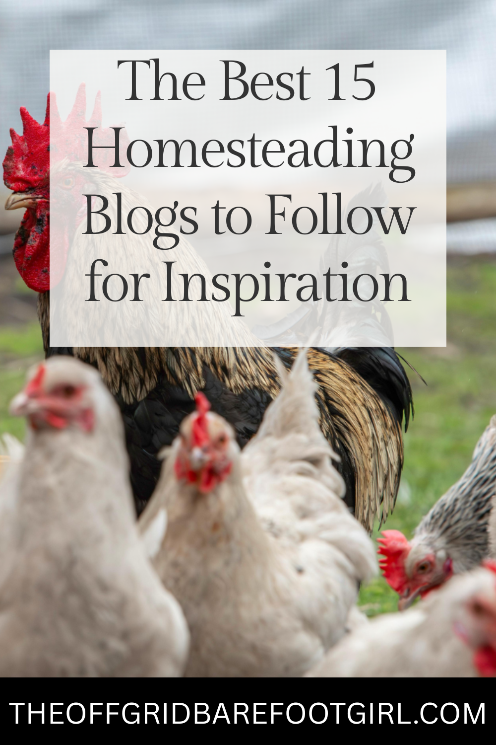 Image illustrates a Pinterest pin of the best homesteading blogs to follow for inspiration.