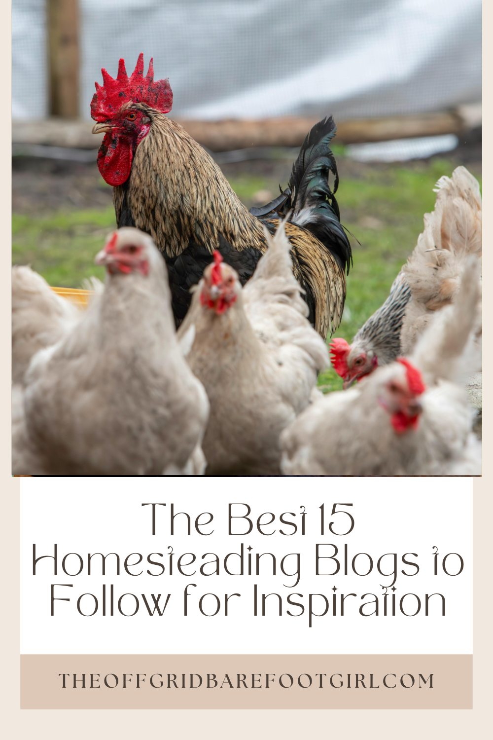 Image illustrates a Pinterest pin of the best homesteading blogs to follow for inspiration.