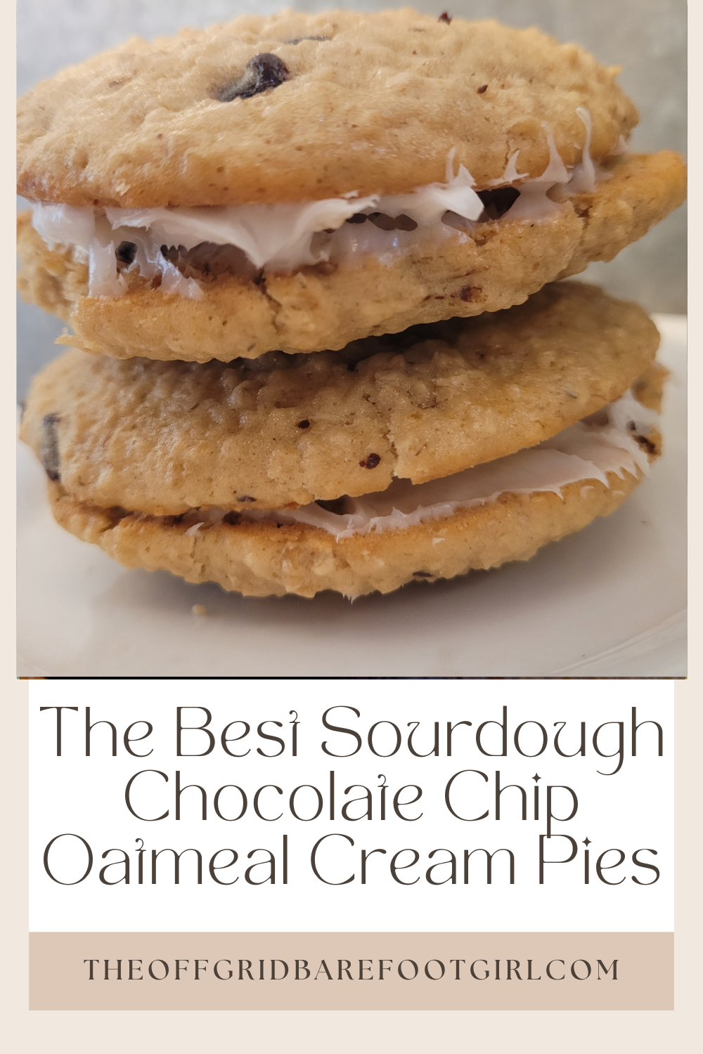 Image illustrates a Pinterest pin of sourdough chocolate chip oatmeal cream pies.