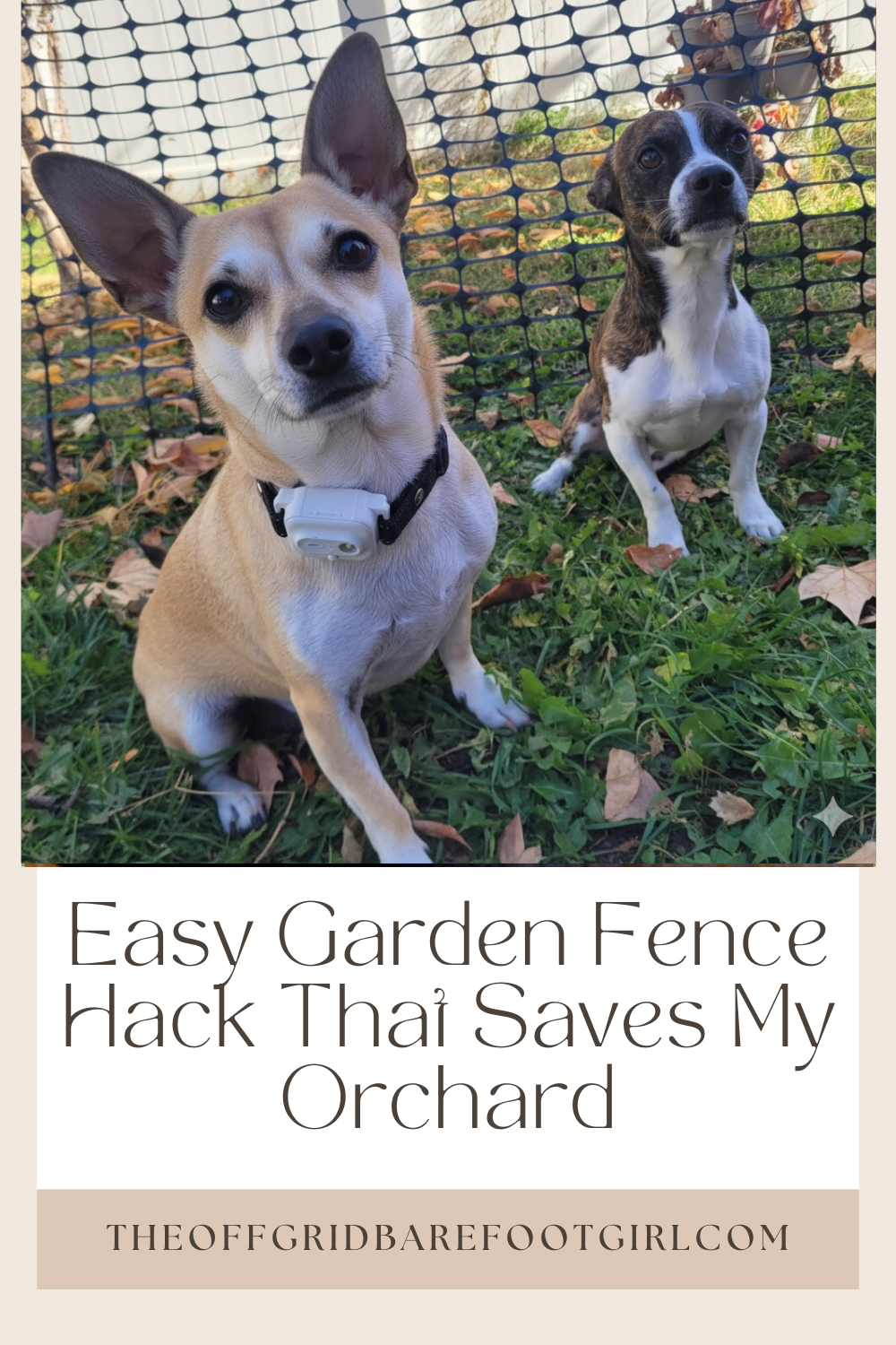 Image illustrates a Pinterest pin of dogs with a garden fence hack.