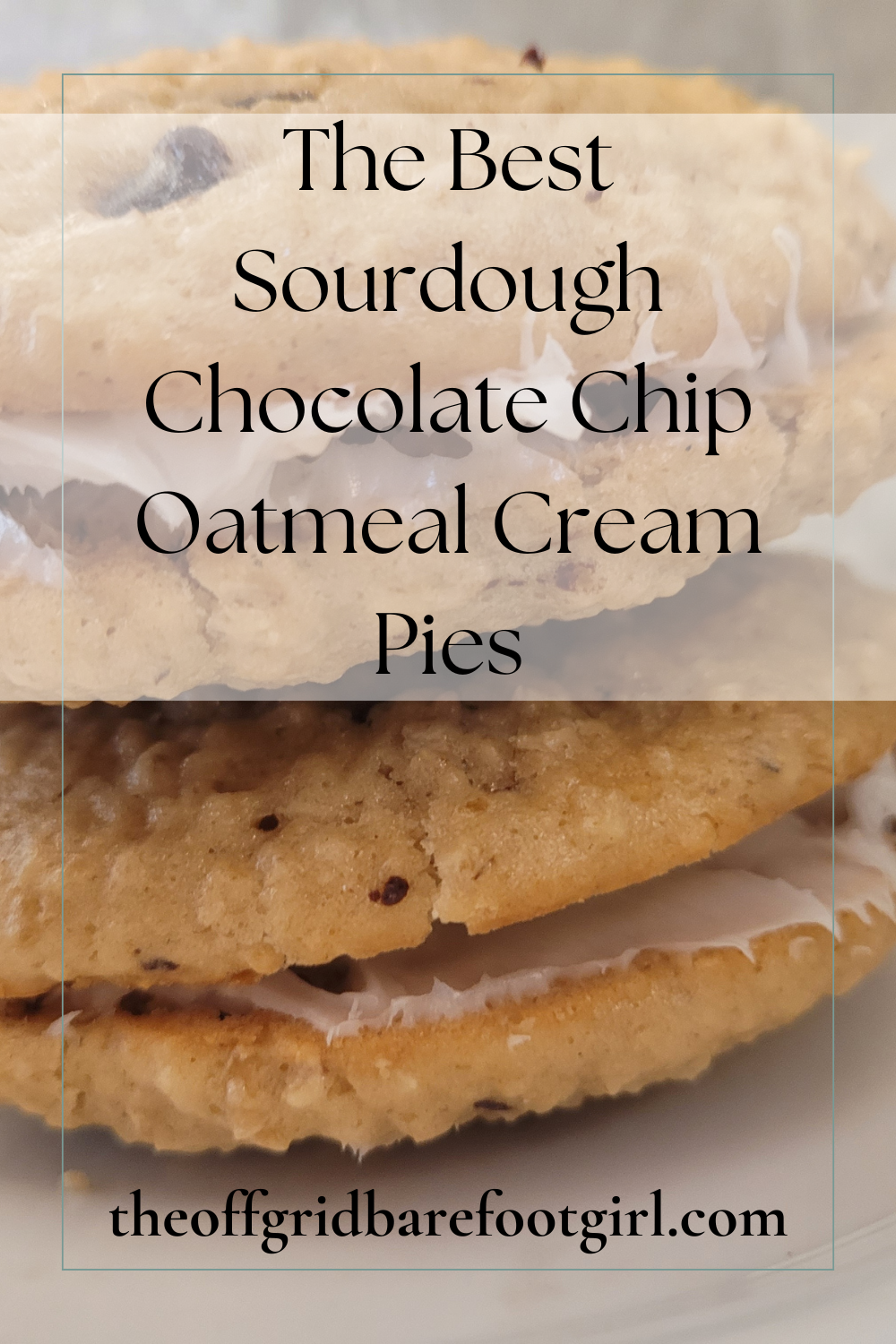Image illustrates a Pinterest pin of sourdough chocolate chip oatmeal cream pies.