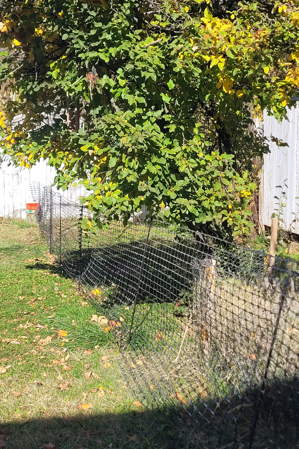 Image illustrates a garden fence hack.