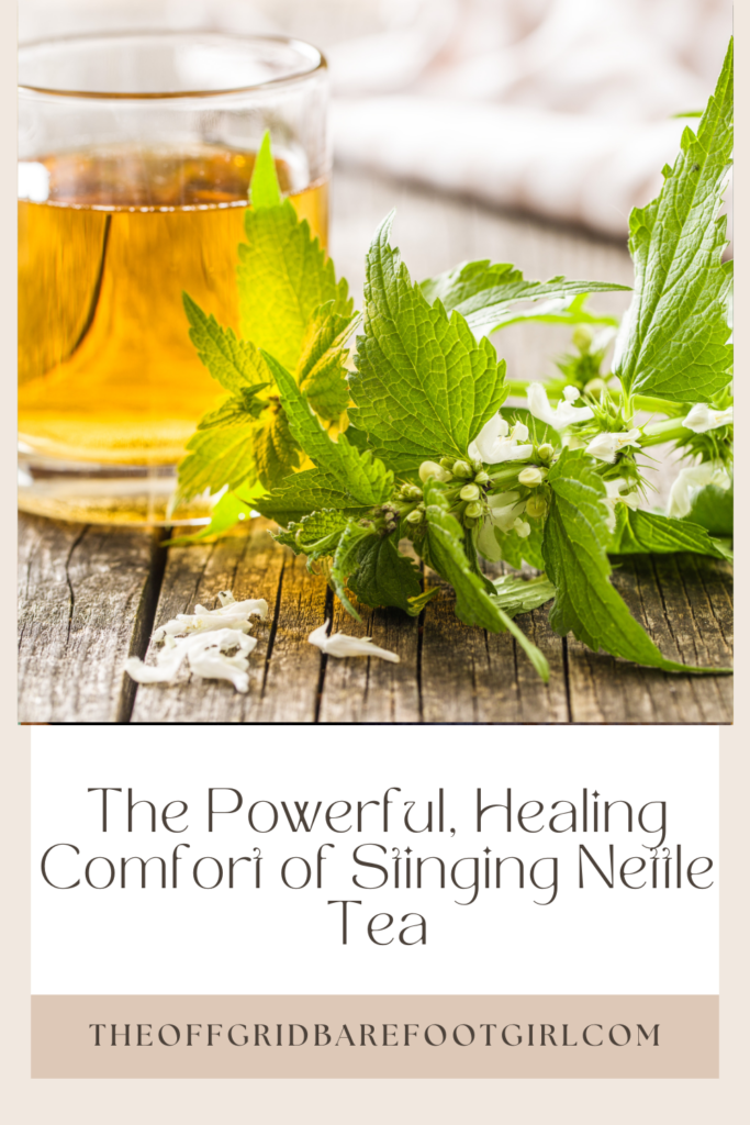 Image illustrates stinging nettle tea.