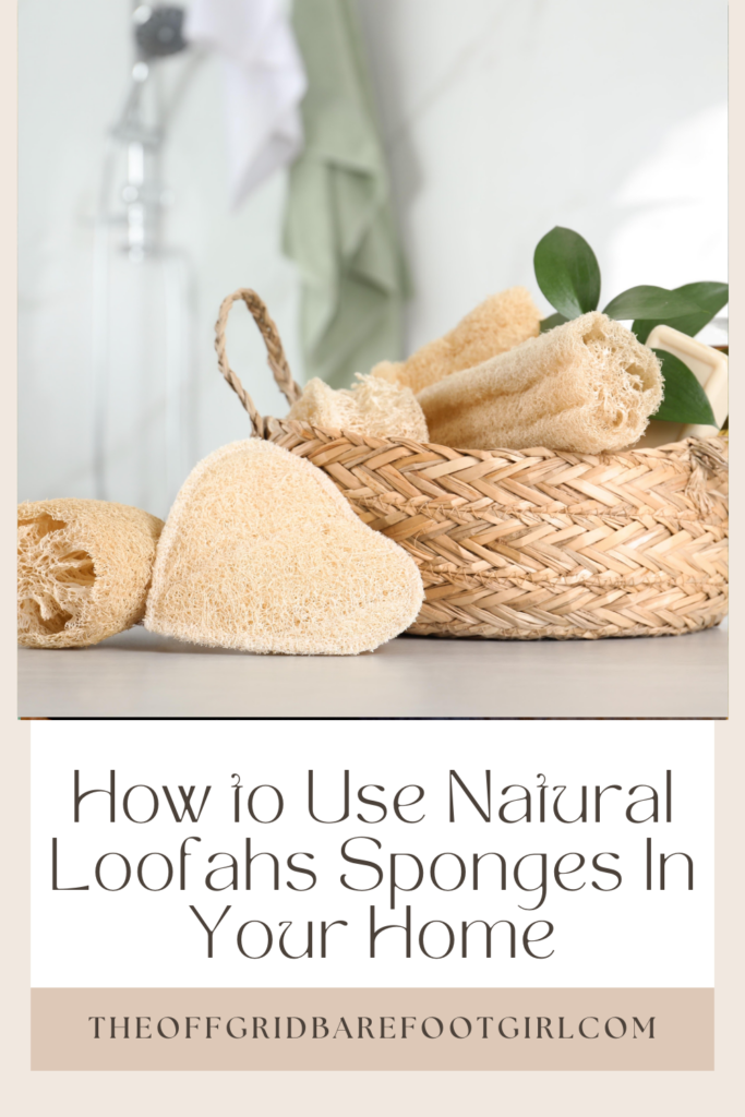 Image illustrates a Pinterest pin of natural loofah sponges.