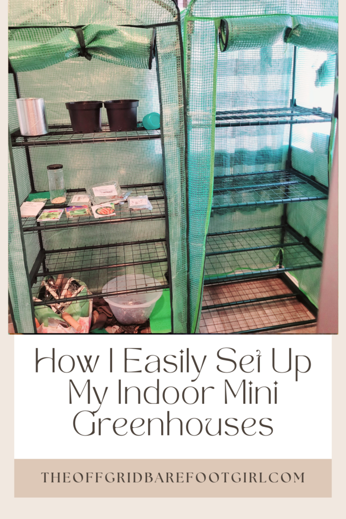 Image illustrates indoor mini greenhouses.