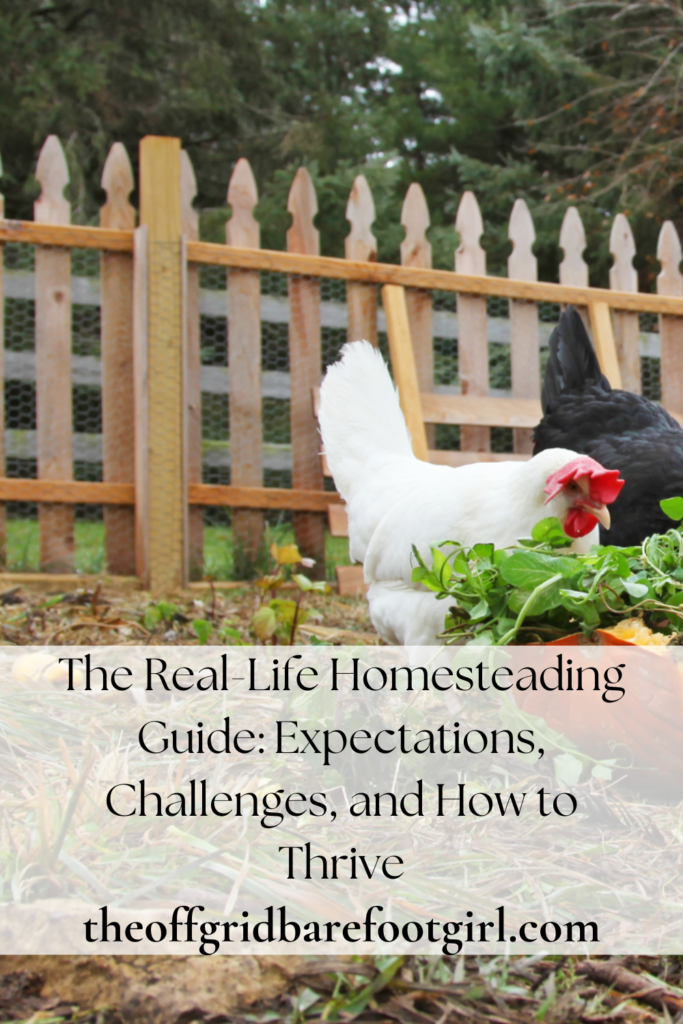 Image illustrates homesteading.