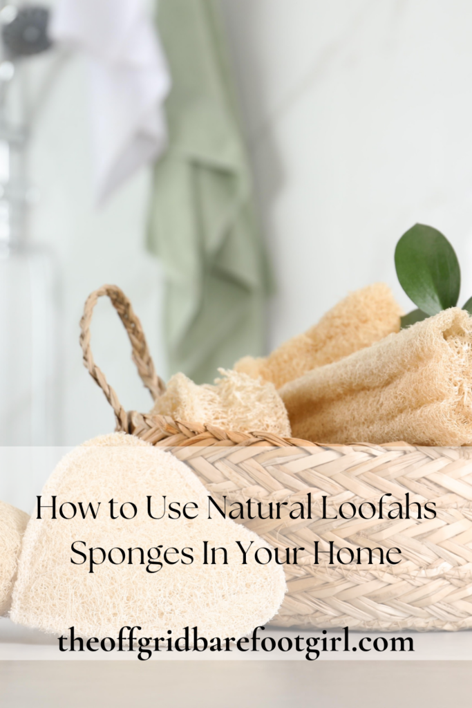 Image illustrates a Pinterest pin of natural loofah sponges.