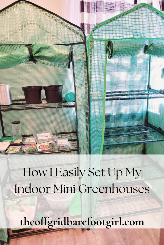 Image illustrates indoor mini greenhouses.