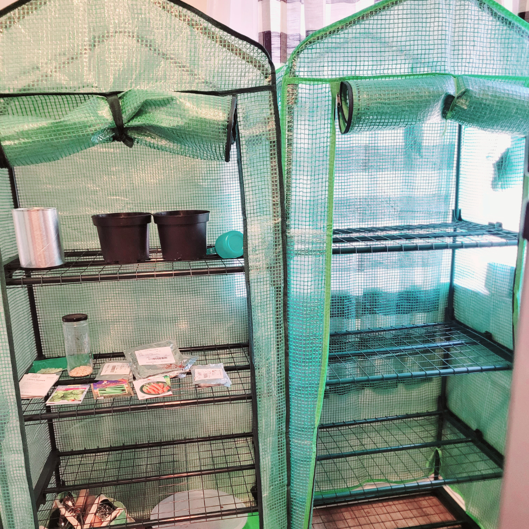How I Easily Set Up My Indoor Mini Greenhouses