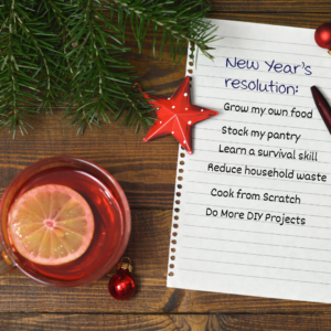 Image illustrates a New Year's Resolutions list.