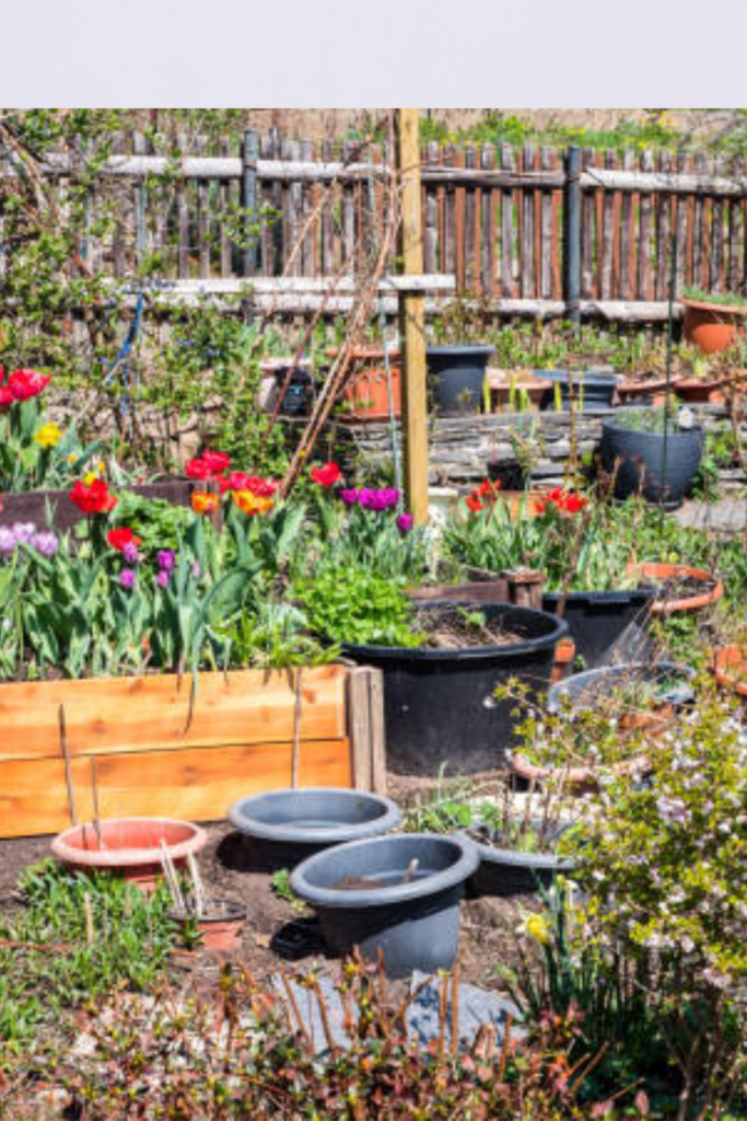 Image illustrates homesteading.