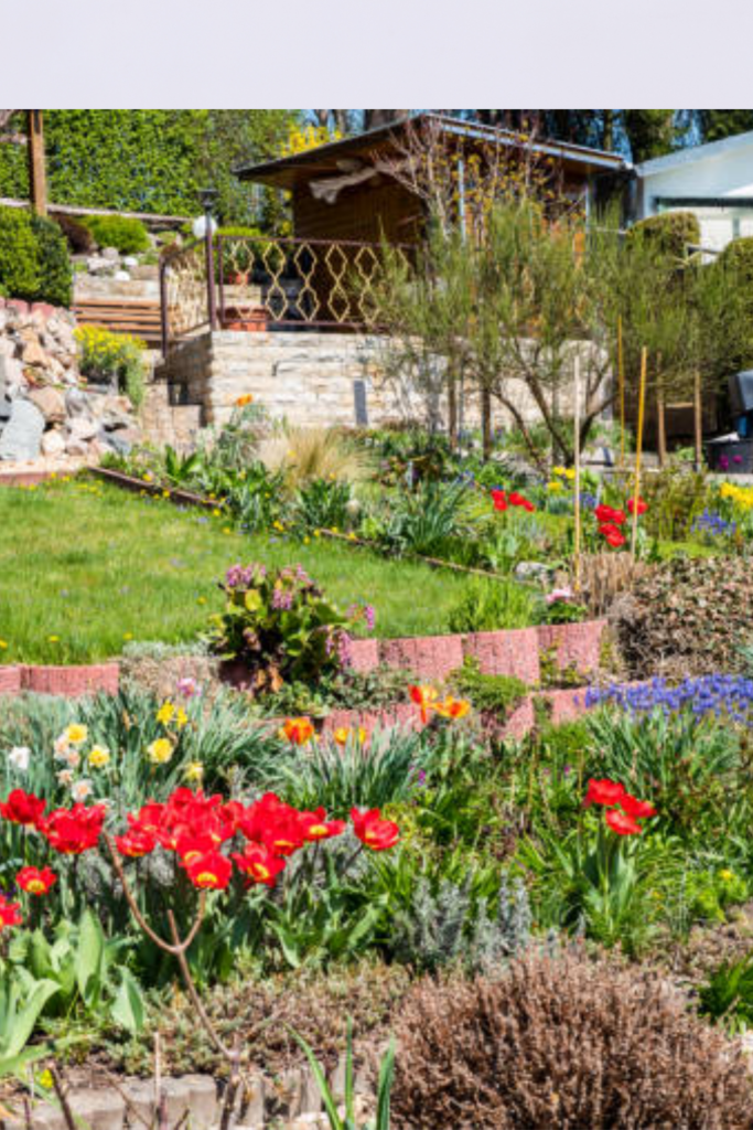 Image illustrates homesteading.