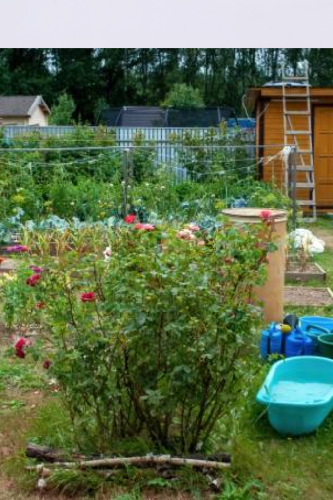 Image illustrates homesteading.