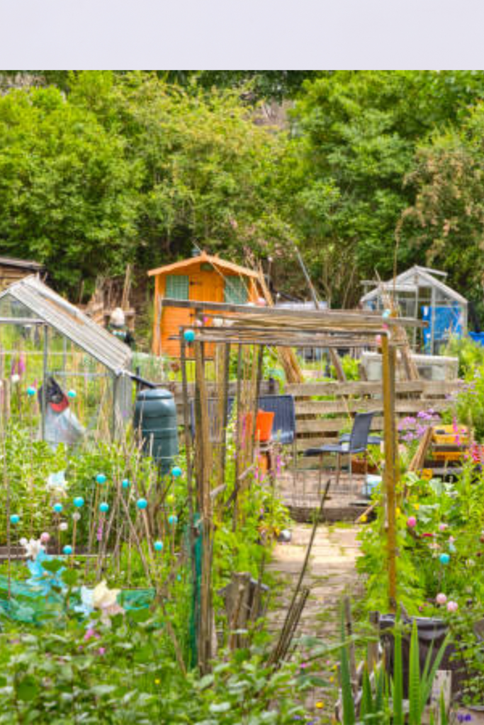 Image illustrates homesteading.