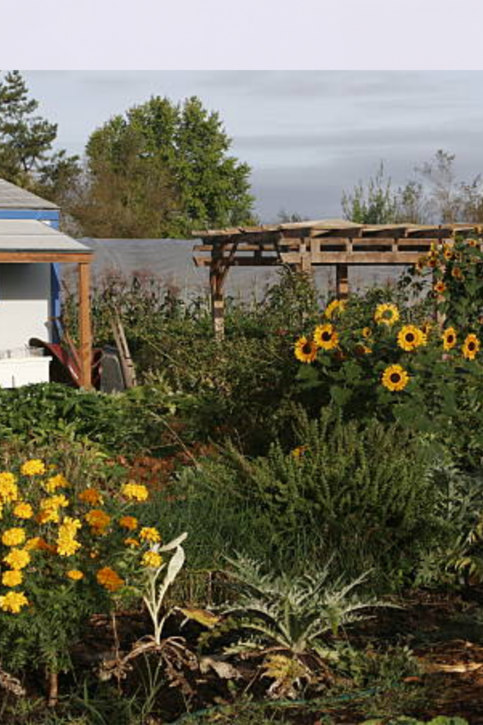 Image illustrates homesteading.