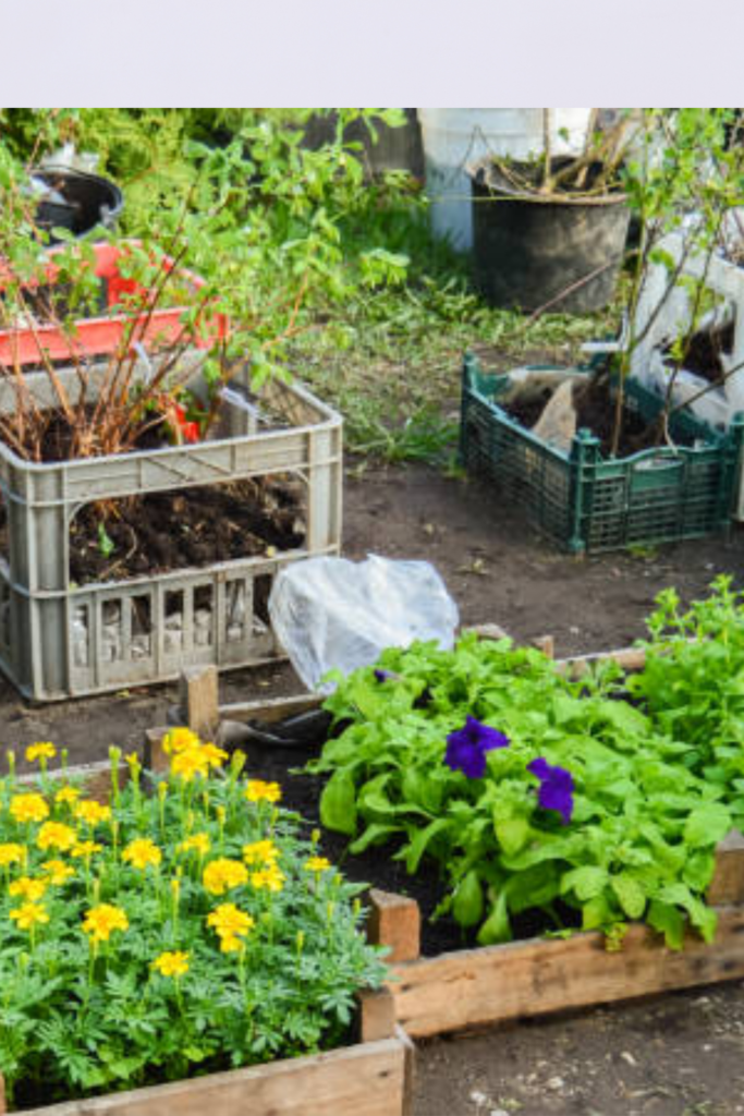 Image illustrates homesteading.