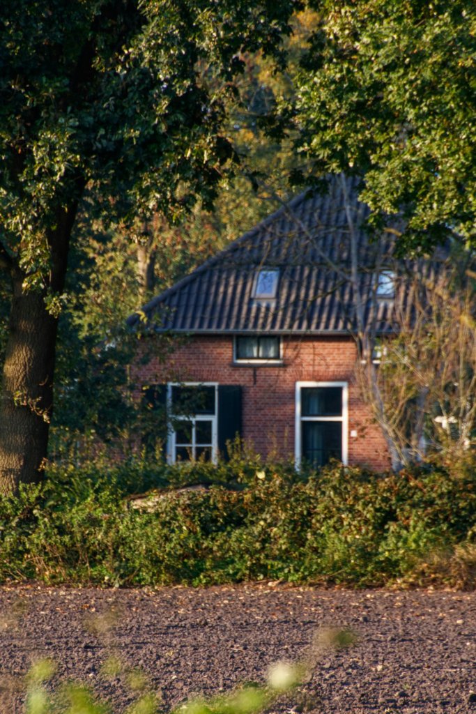 Image illustrates prepper gear or emergency preparedness.