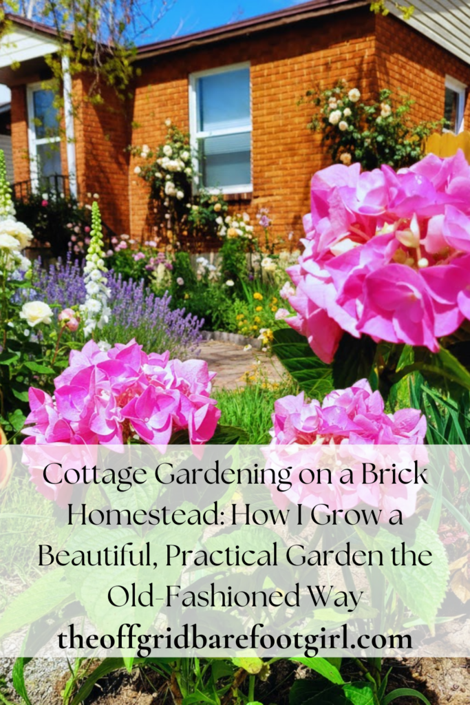 Image illustrates cottage gardening.