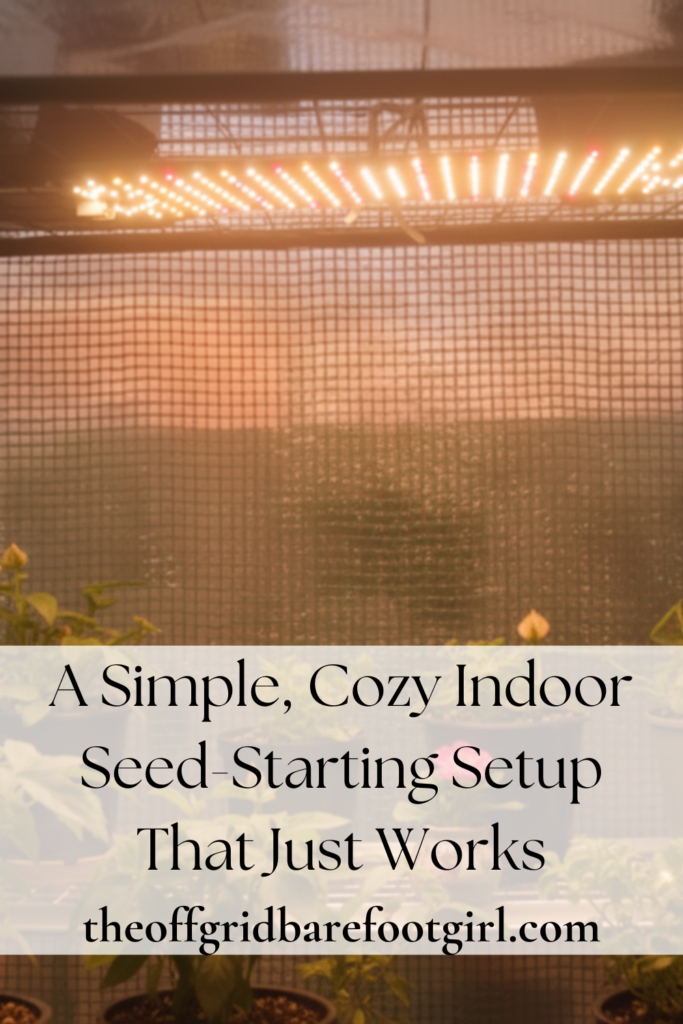 Image illustrates indoor seed-starting setup.
