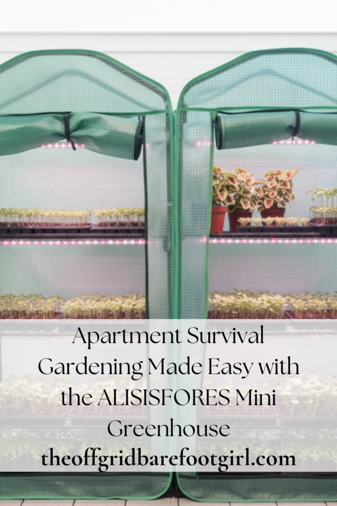 Image illustrates apartment survival gardening.