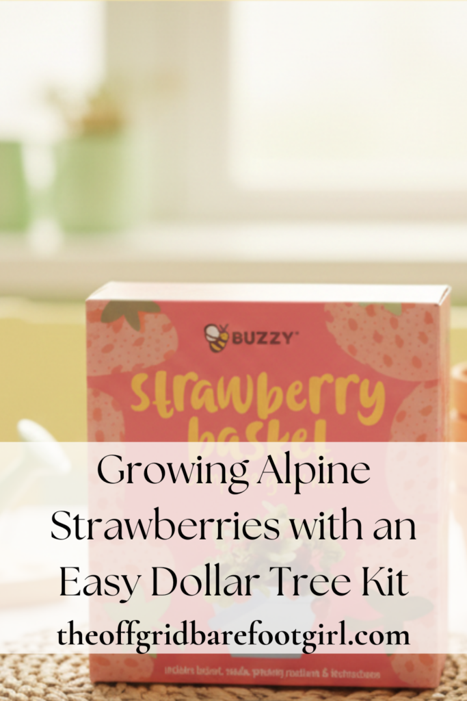 Image illustrates growing alpine strawberries.