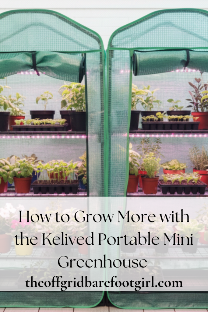 Image illustrates portable mini greenhouse.