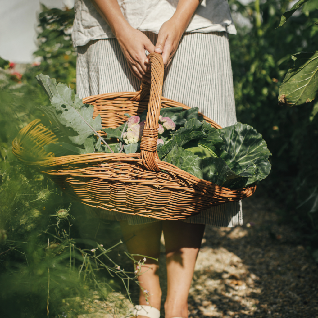 Image illustrates The Off Grid Barefoot Girl my resources.