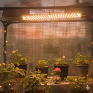 Image illustrates indoor seed-starting setup.