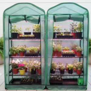 Image illustrates portable mini greenhouses.