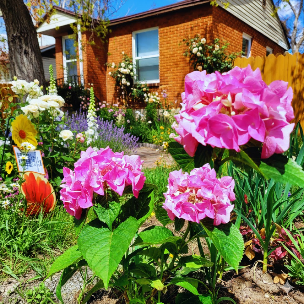 Image illustrates cottage gardening.