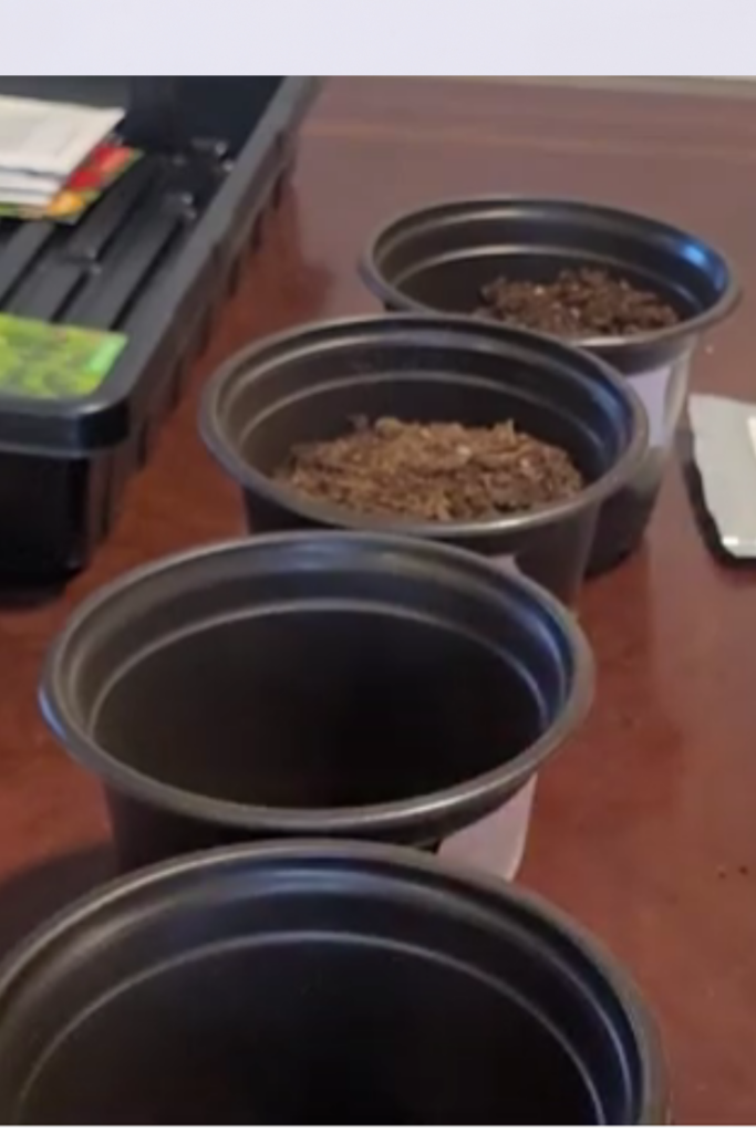 Image illustrates nursery pots.